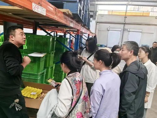 上海學生午餐蝦仁炒蛋引食品安全風波，監管部門介入調查
